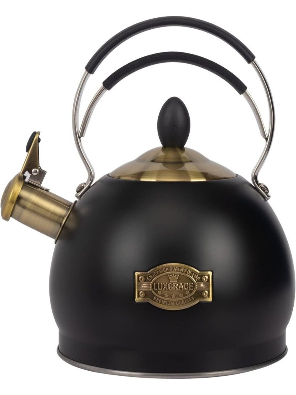 2.6 Quart Black Stainless Steel Kitchen Tea kettle Whistling Stovetop Induction